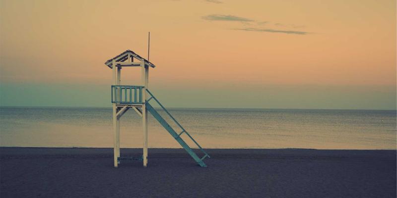 DDH专业宠物摄影实战指南：捕捉灵动瞬间，打造情感商业作品