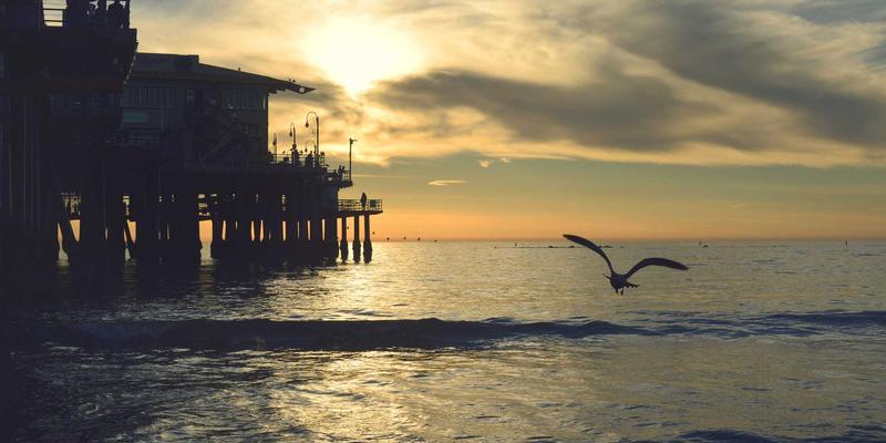 DDH摄影53：专业人像作品展示，捕捉光影中的灵魂叙事