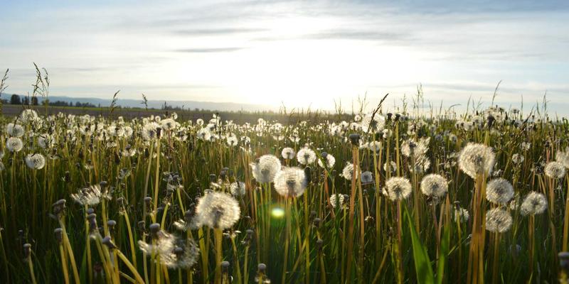 DDH摄影87:探索人像与商业摄影的艺术融合与专业实践