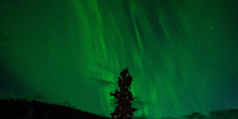 DDH摄影98：用镜头雕刻时光，以专业诠释人像艺术之美