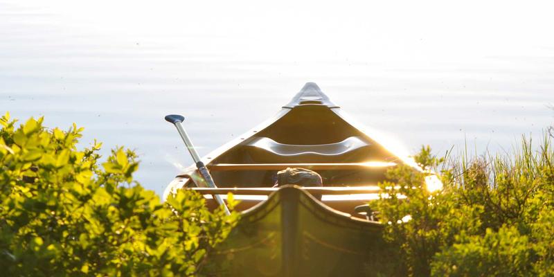 DDH摄影:专业人像摄影服务如何用光影艺术诠释独特个性