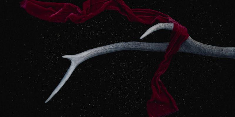 DDH摄影后期调色全解析：从RAW到成片的专业工作流