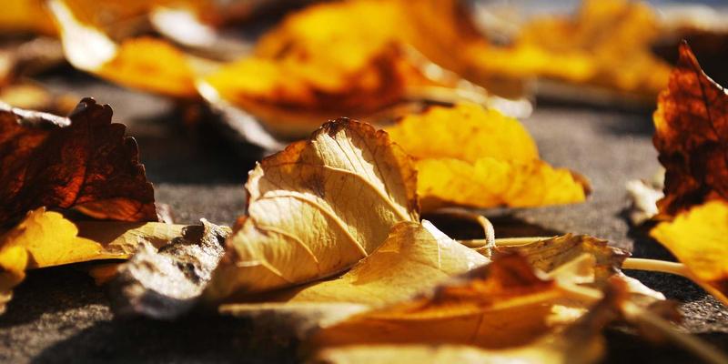 DDH摄影：商业人像光影构图法则，打造专业级视觉冲击