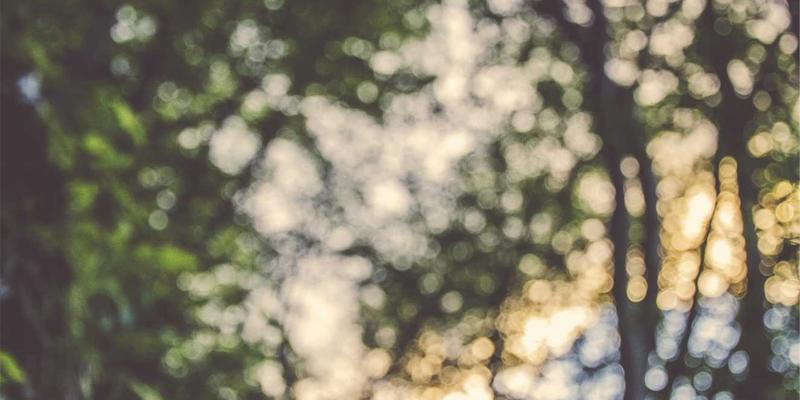 DDH摄影导师分享：新手系统化学习路径与常见误区规避，让作品展示更专业