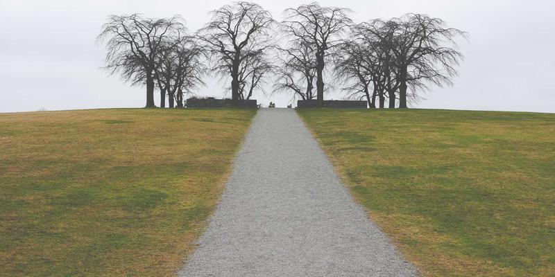 DDH摄影工作室选址与装修全攻略：打造令人惊艳的人像摄影作品展示空间