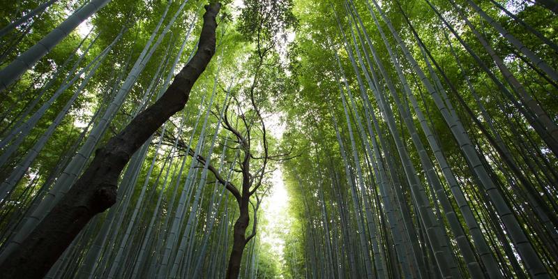 DDH摄影师的后勤管理：高效外拍装备清单与出行规划指南