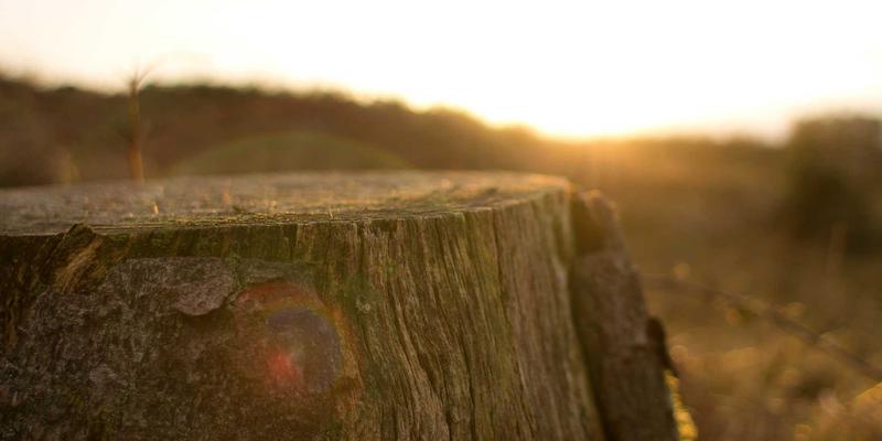 DDH摄影服务揭秘：如何通过专业摄影塑造企业高管的权威感与亲和力