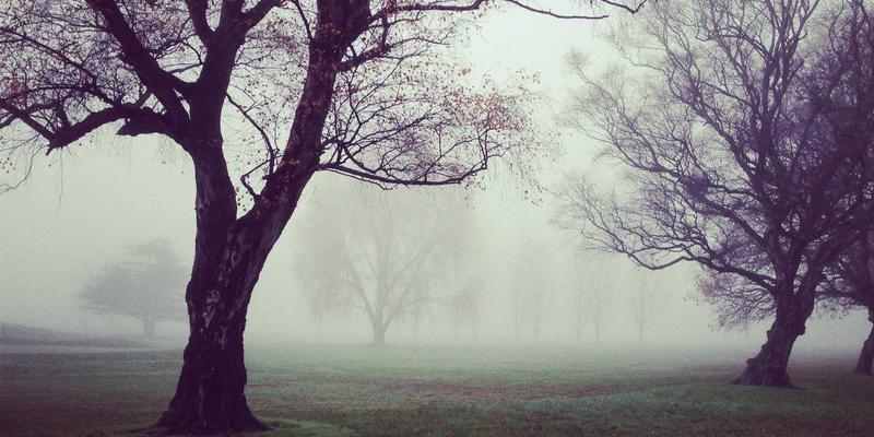 DDH摄影评测:商业质感与风景诗意的专业呈现