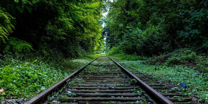 瞬间的张力：DDH专业摄影如何通过动态捕捉，打造运动品牌广告的人像艺术